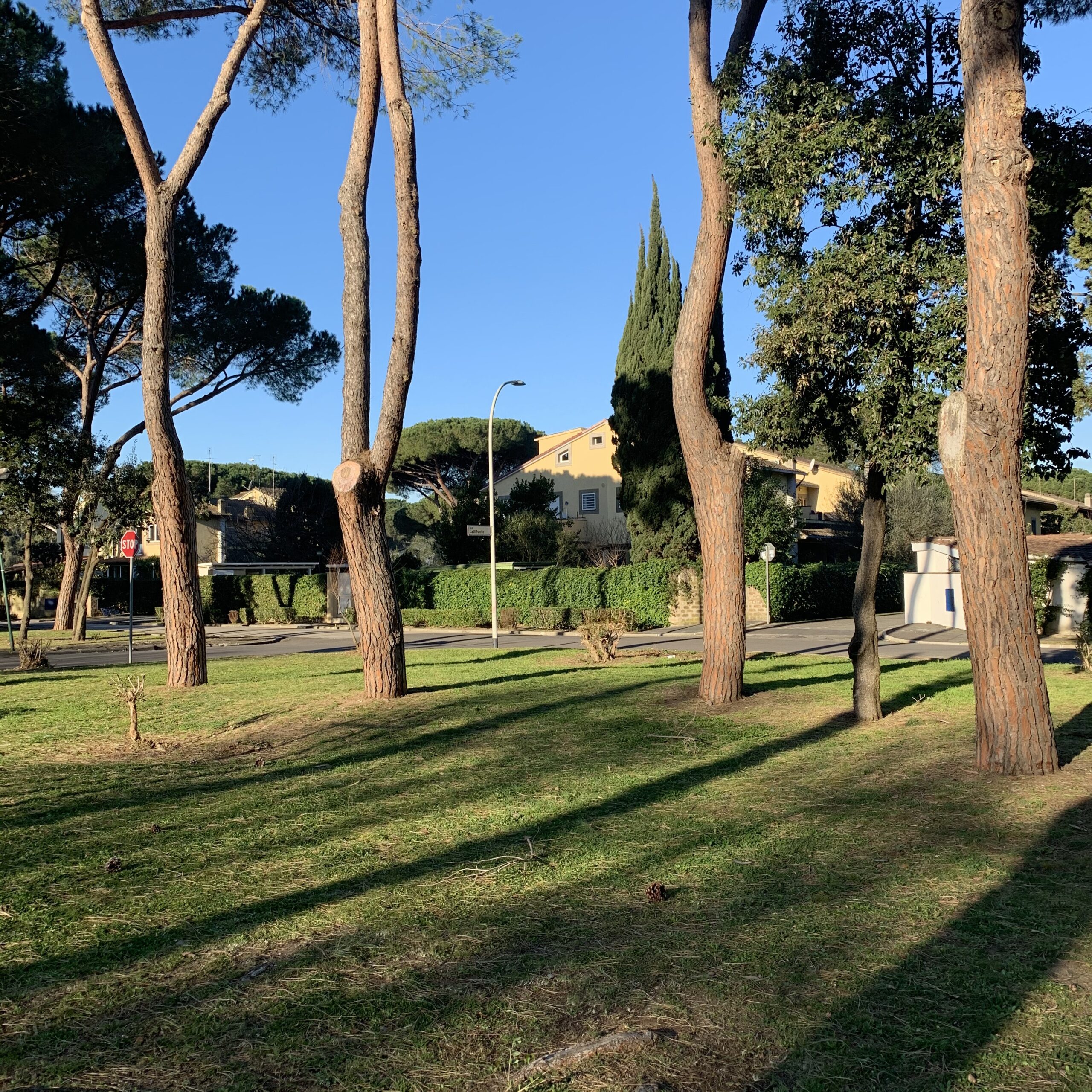 Casalpalocco, il sogno verde alle porte di Roma