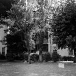 Isola 52 I Palazzi rosa Casalpalocco
